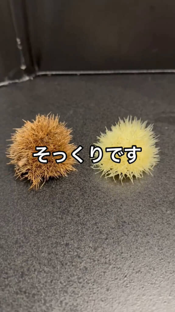 ビフォーアフター