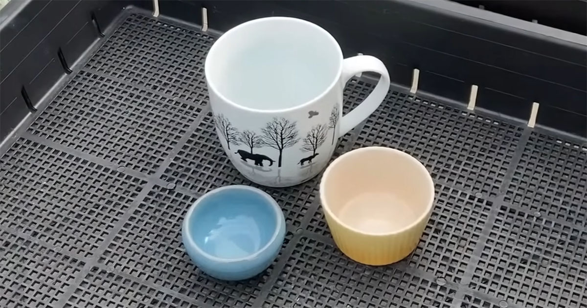 使わなくなった食器、捨てる前にちょっと待って！　穴を開けるだけで“実用アイテム”に大変身「楽しそう」「早速真似しました！」（1/3） | ライフハック ねとらぼ