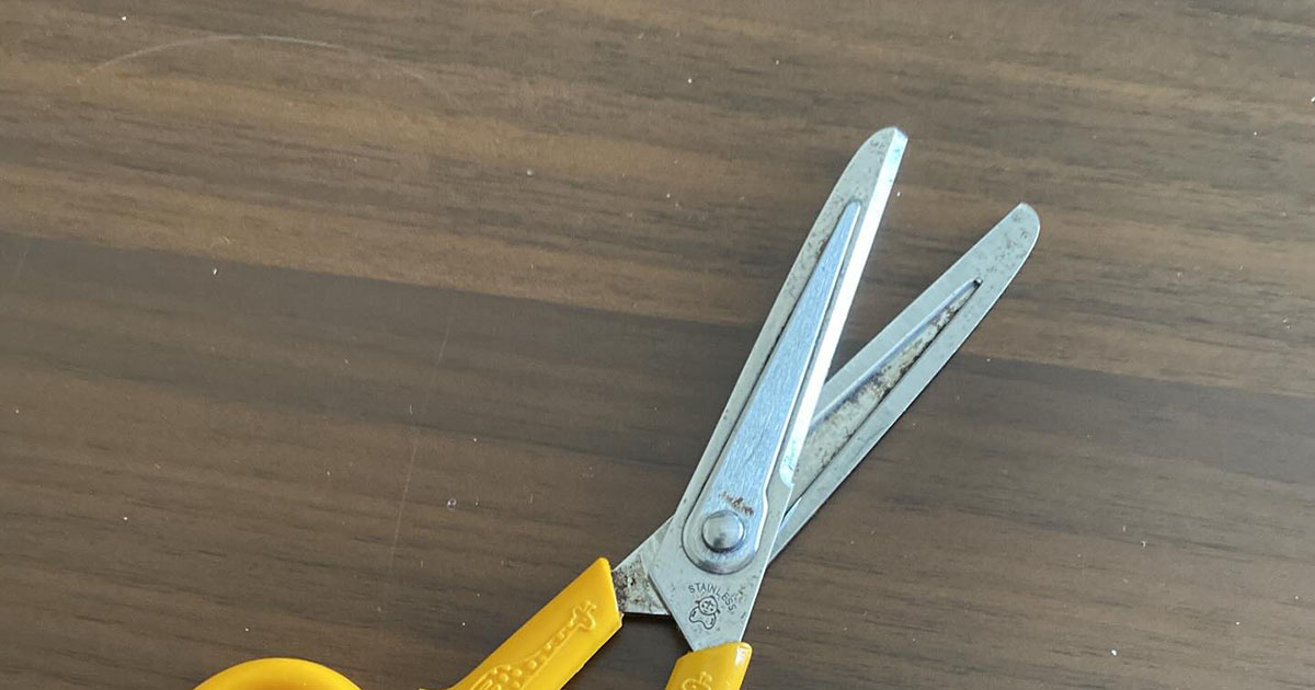 幼稚園から愛用していたハサミ→迎えた“最期”の姿に「すげぇ