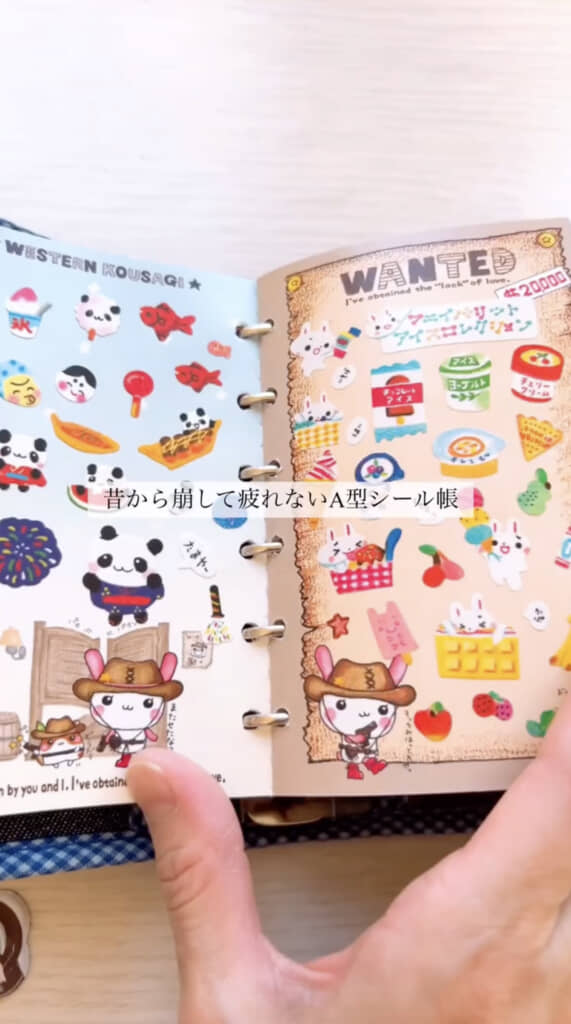 きれいに整理してあります