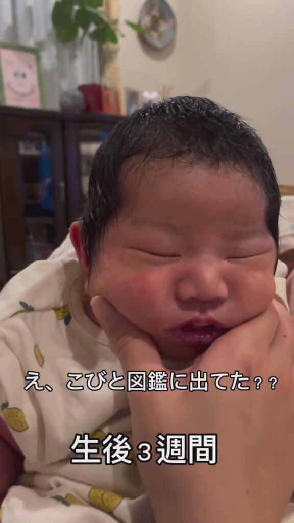 3週間後には大変身