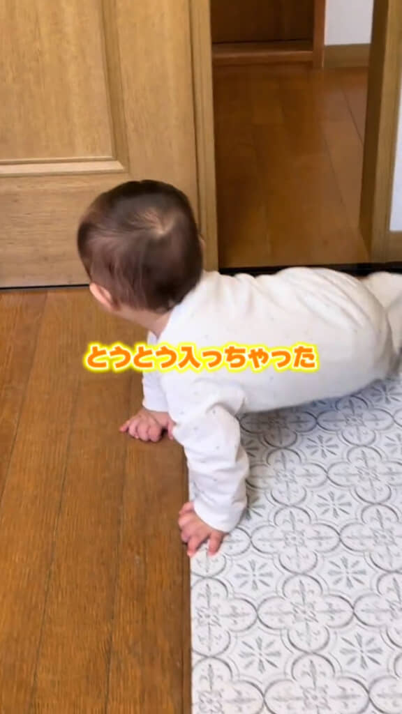 たまらず許したくなっちゃうほどかわいい侵入者でした！