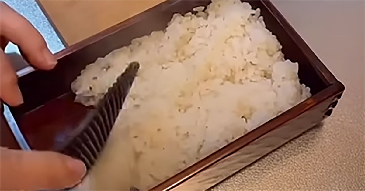 妻「なんかすごい寒いね」→現場仕事の夫のために作った“旦那弁当”がすごい！　「こんな奥さんいたら頑張れる！」「天才」（1/3） | グルメ ねとらぼ