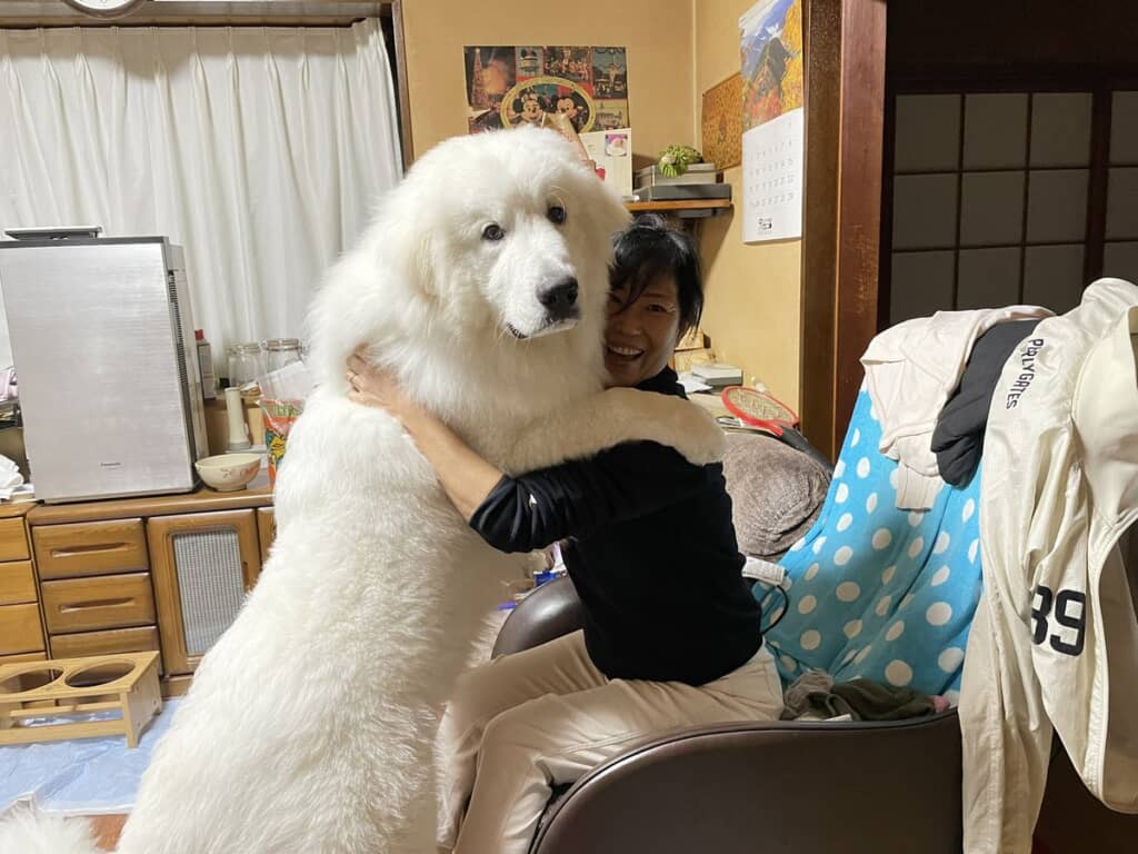 生後8カ月のぼんぼんくんとばぁば