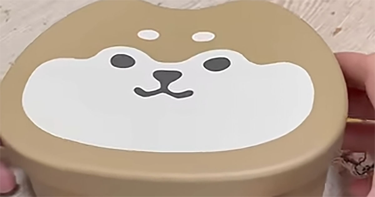 ロフトで買った“新しい弁当箱”→32歳男性介護士が詰めたのは……　「ご飯が進みそう」「ほんとに偉い」「見習わないと」（1/3） | グルメ ねとらぼ