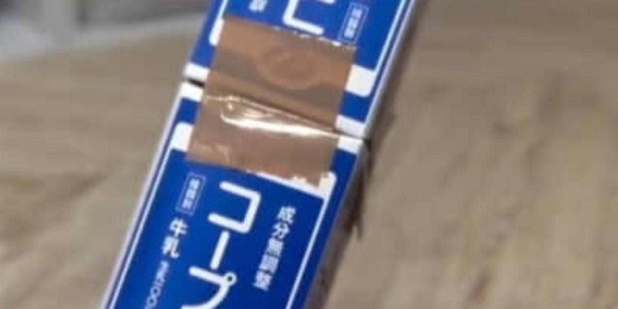 空の牛乳パックをどんどんつなげて、ニトリのカラボに入れると…… 子ども大喜びなアイテムに「感動です」「すごい!本格的!!」(1/3) | ライフスタイル ねとらぼ
