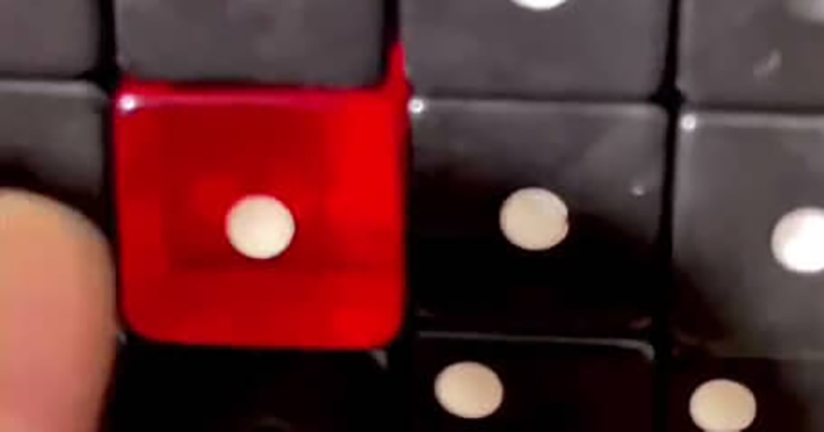 1763542695_cover.jpg