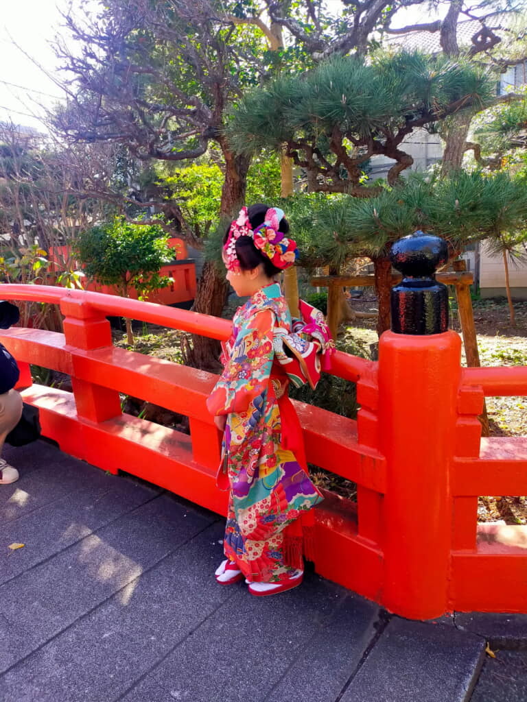 思わず目で追ってしまいそうな華やかさ