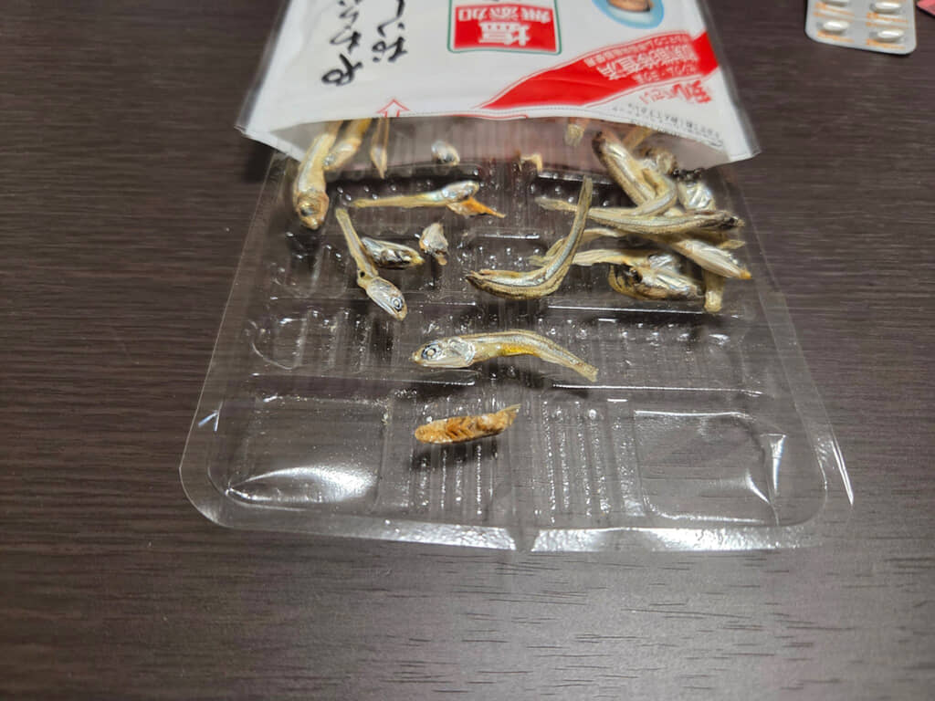 魚ではない何か