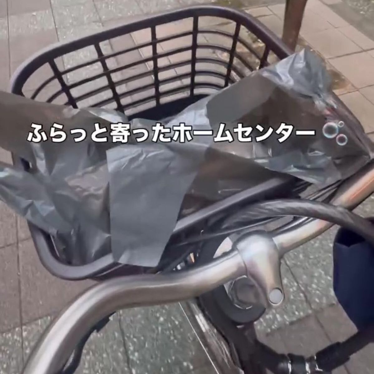 ホームセンターで“4000円の魚”を衝動買い→帰宅後……　まさかの正体に「初めて見た」「こりゃかっけぇ」と182万再生 | その他生き物 ねとらぼ