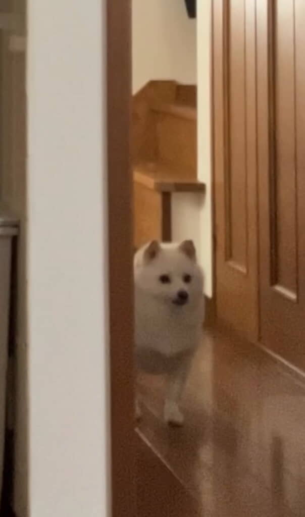 いったん立ち止まるのねｗ