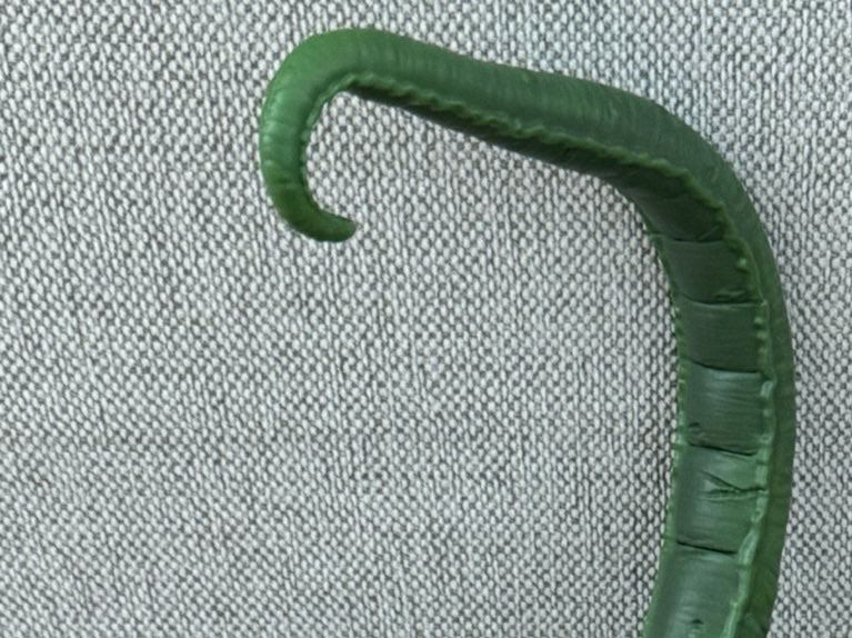 こんなまがまがしい物体と、夜中に自室で遭遇したらと思うと……