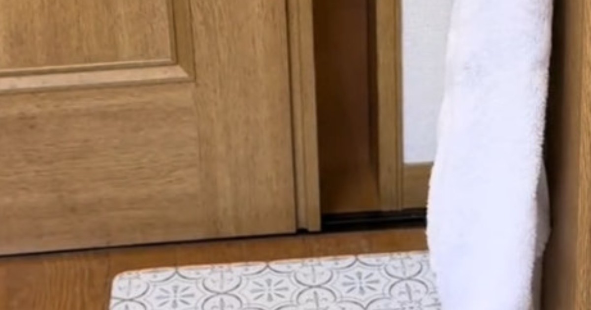 台所のドアが突然開いた、次の瞬間……「え！！？」　110万再生の“まさかの侵入者”に「学習能力侮れない」「ずるい生き物よ」（1/2） | 育児 ねとらぼ