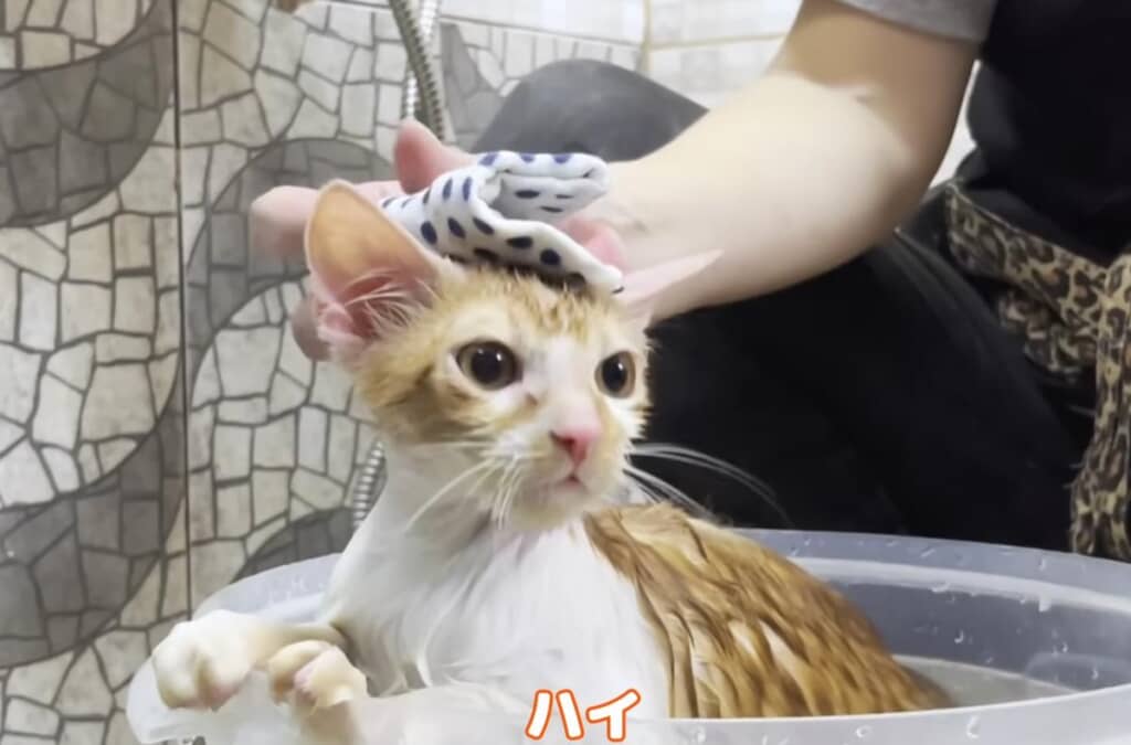 最後は気持ちよさそうなゴエモンくん