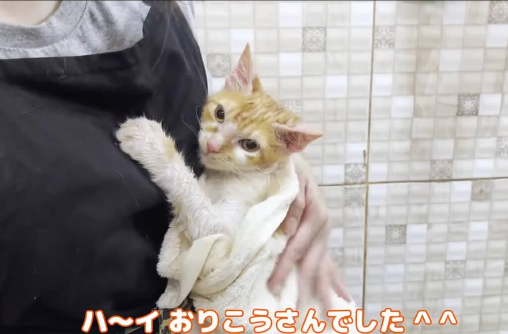 初お風呂、お疲れ様！