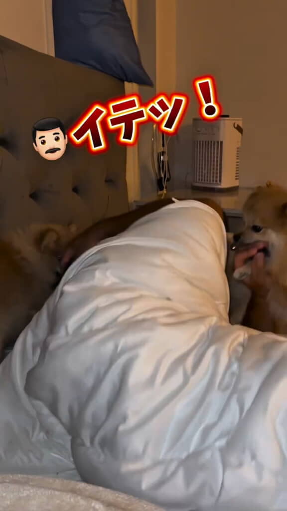 髪の毛に引っかかってしまったようです