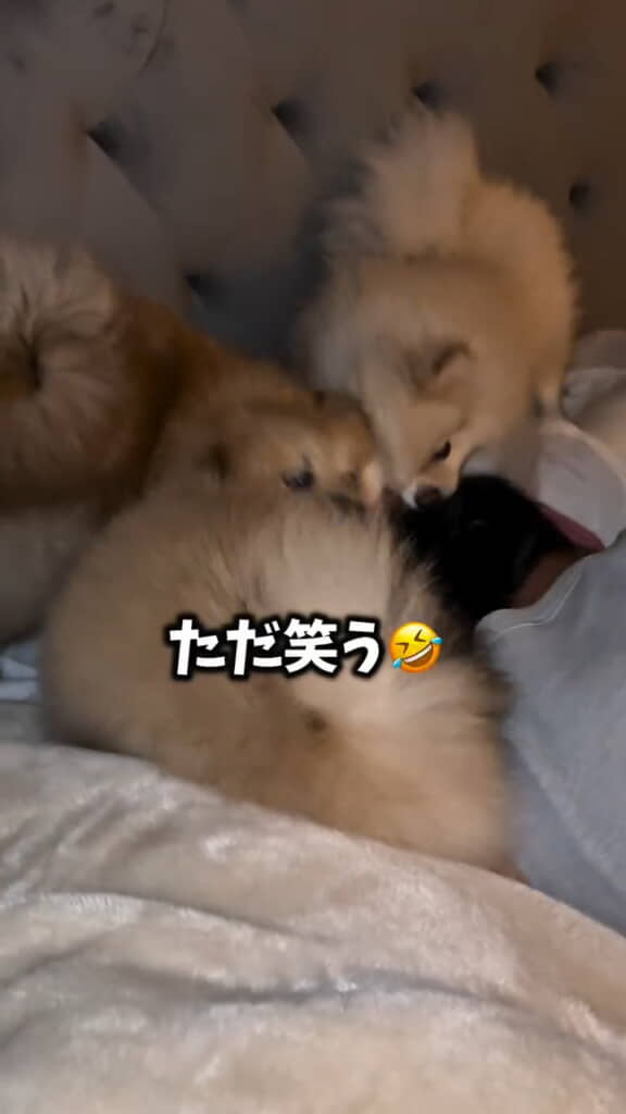 まだまだ止まりません