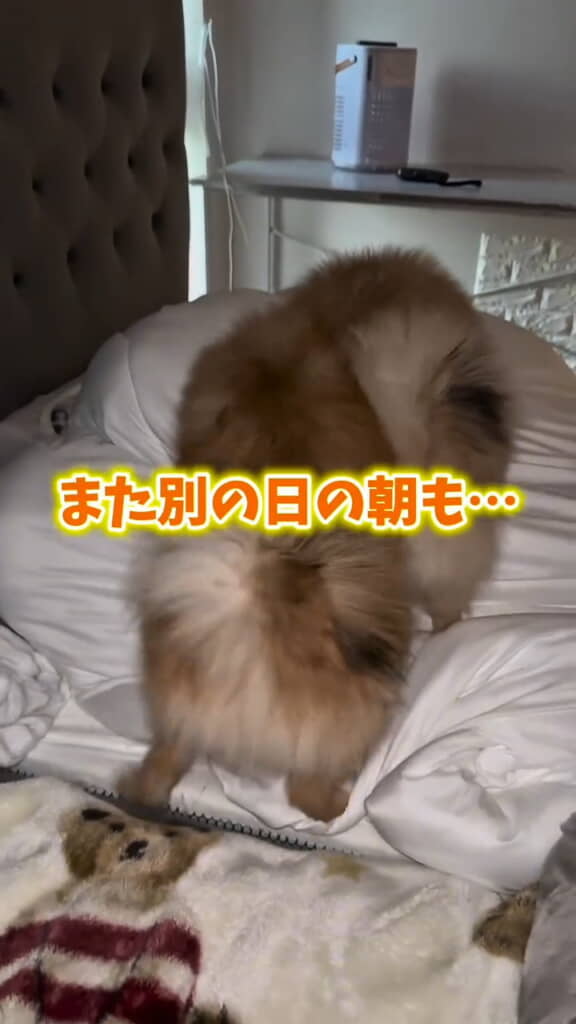 また別の日も……