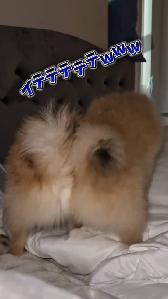 やはり髪の毛が……