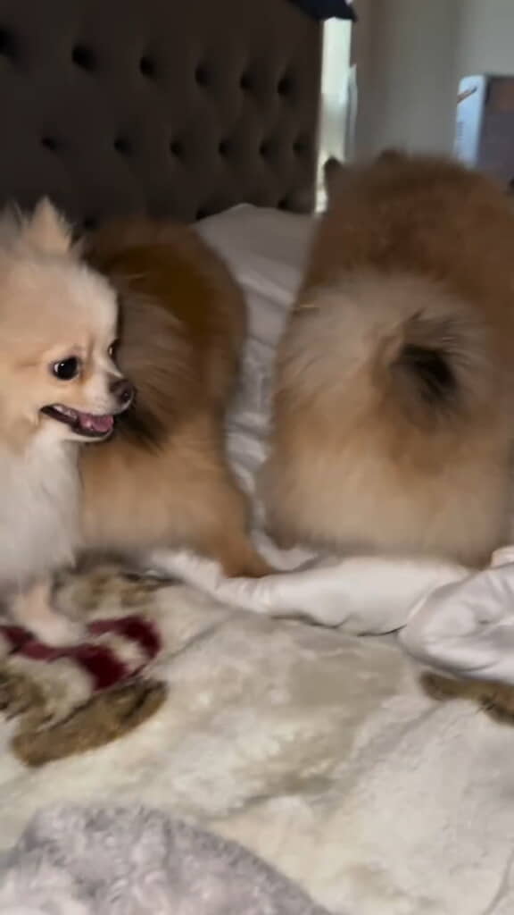 このやり切った表情