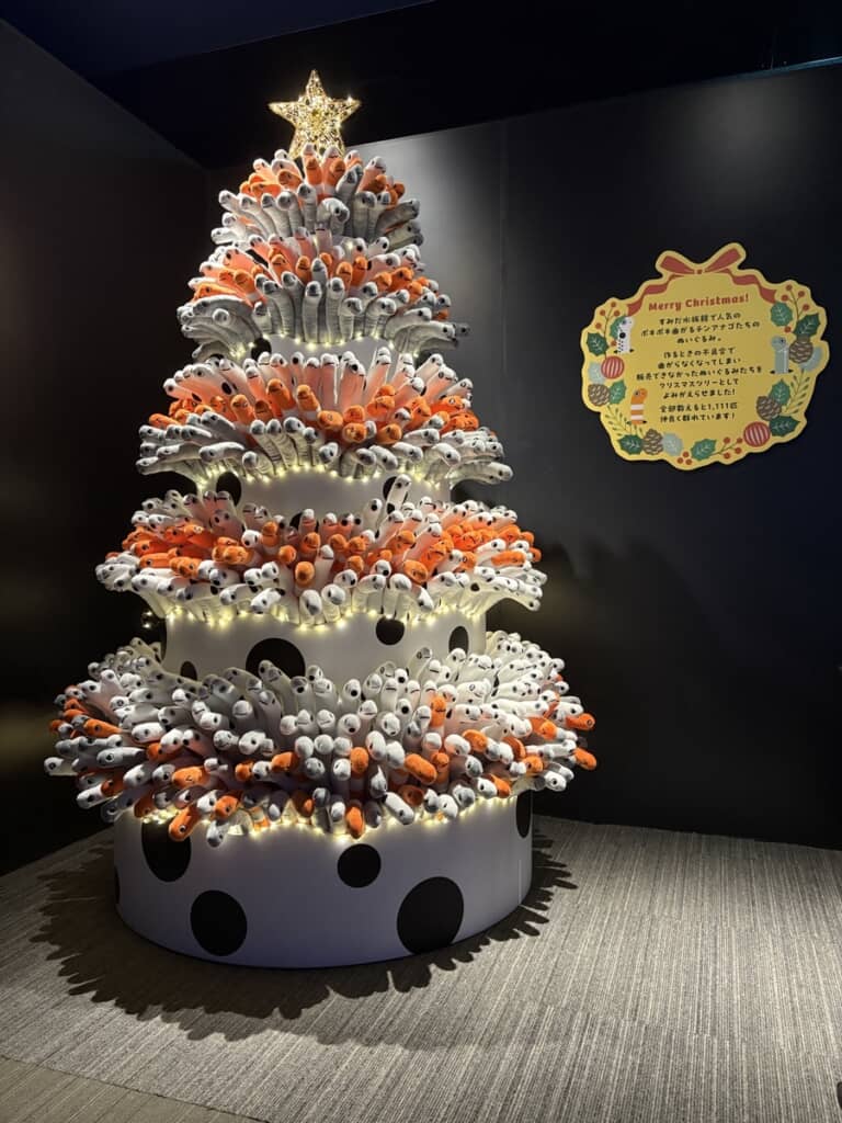 大量のチンアナゴとニシキアナゴ、ホワイトスポッテッドガーデンイールが大集合！