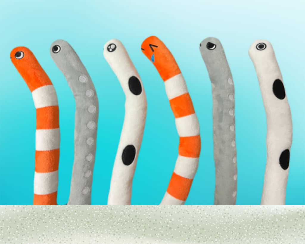 飾り付けに使われたぬいぐるみ