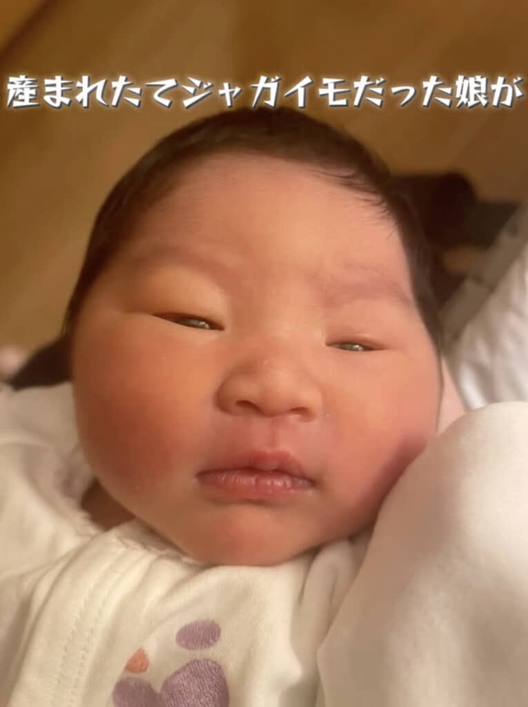 ころんとしたフォルムの新生児期