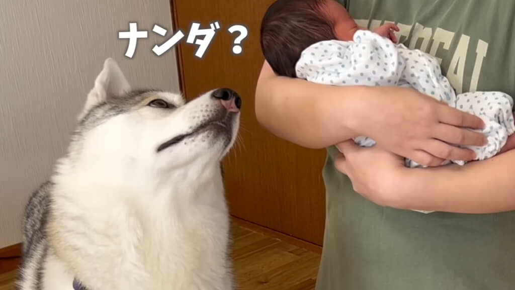 弟くんの寝言が聞こえて首をかしげる