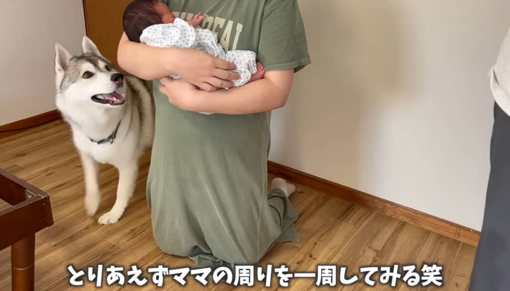 声の聞こえた方向を確かめたい！