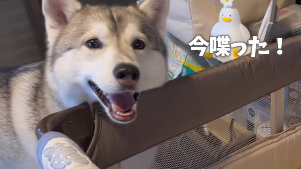 弟くんと会話できてこの笑顔！