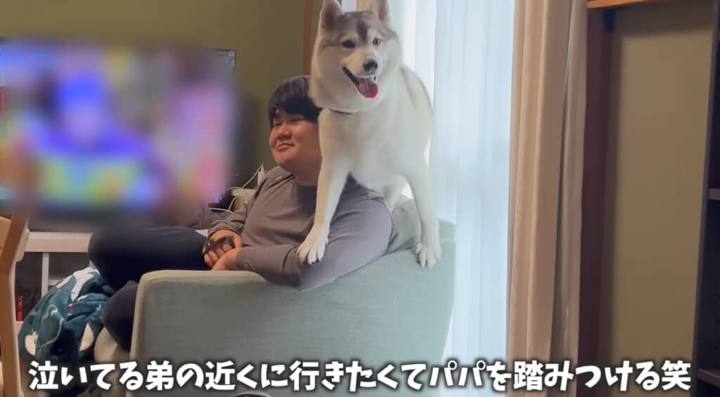 弟くんを守りたい気持ちが伝わる