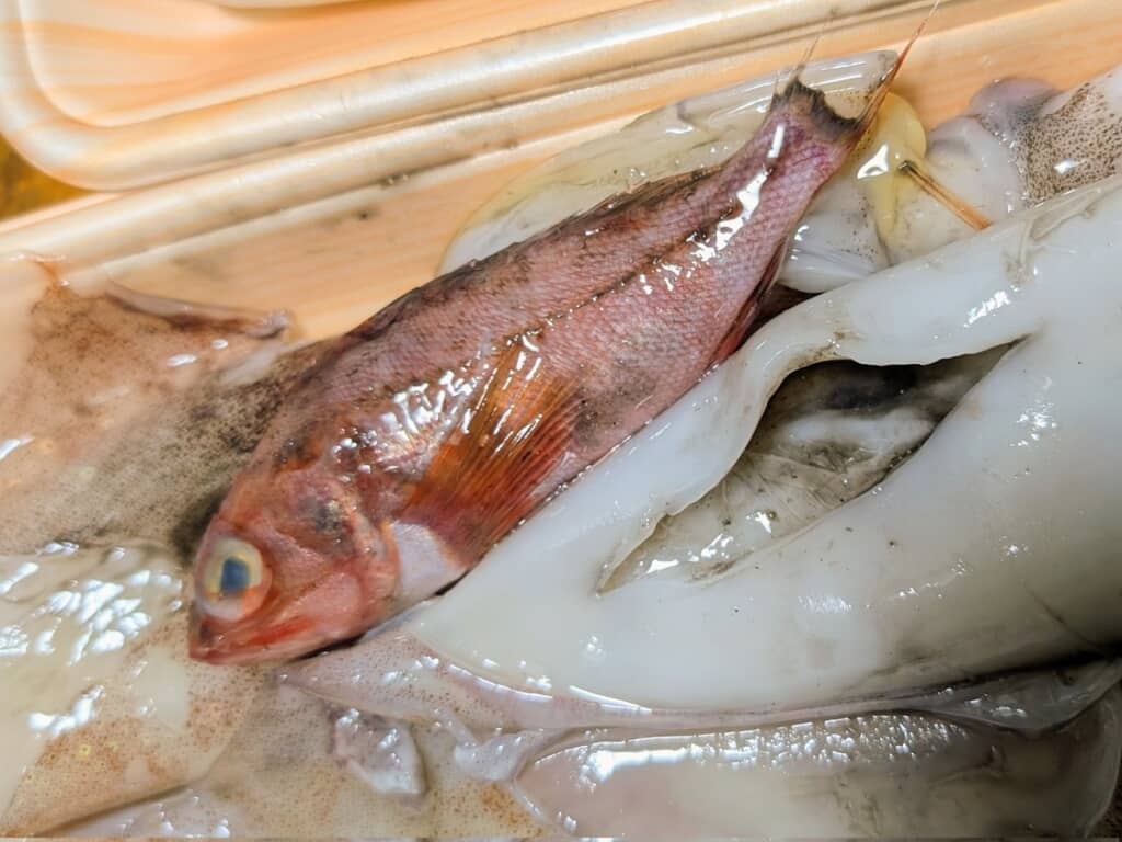 水揚げの際に体の隙間へ入り込んだと思われる魚