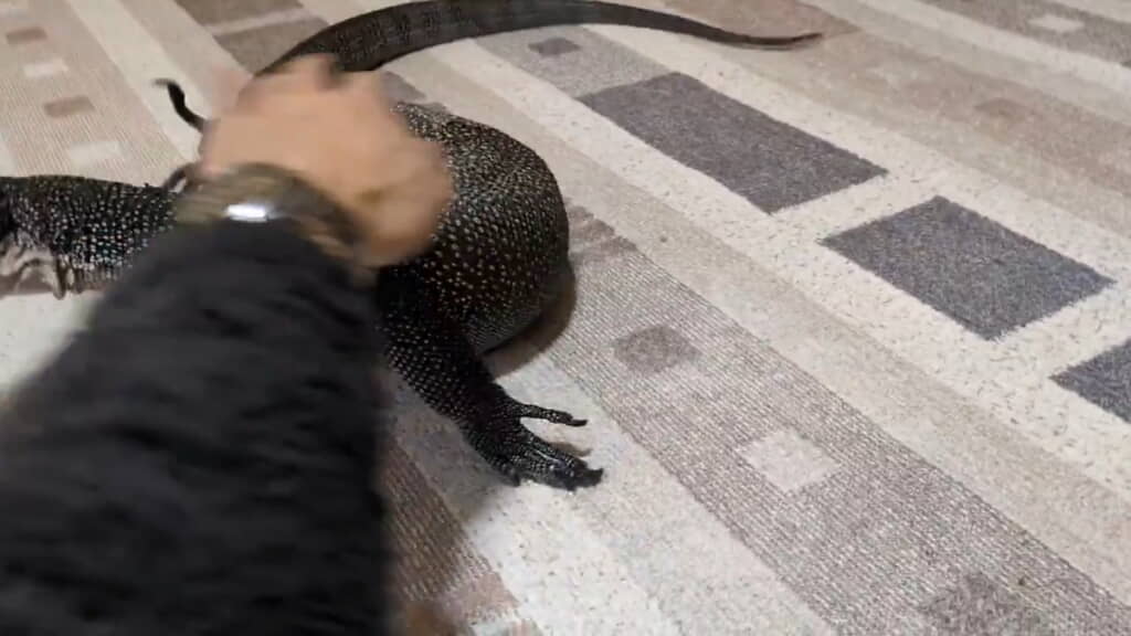 手からしゅっと逃げて
