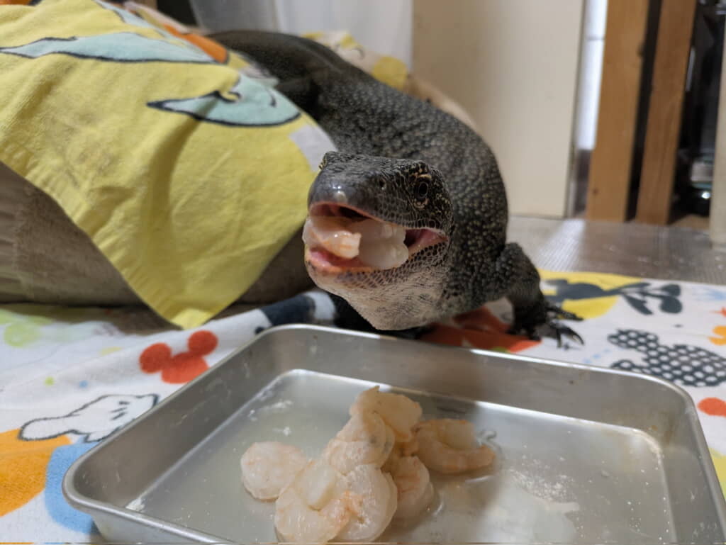 「冷凍むきエビをどうぞ」