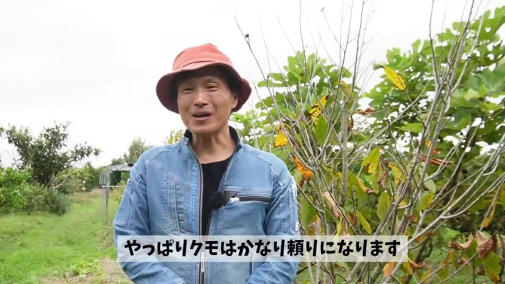 益虫と共存することの重要さをあらためて実感