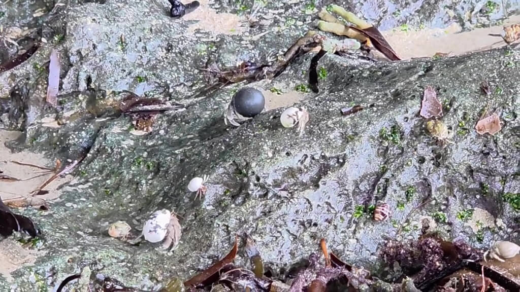 マイホーム手に入れちゃったのかな