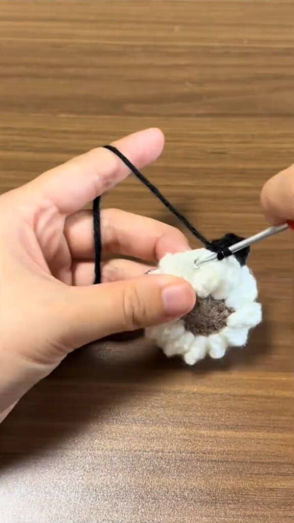 白いお花の周りをぐるぐる