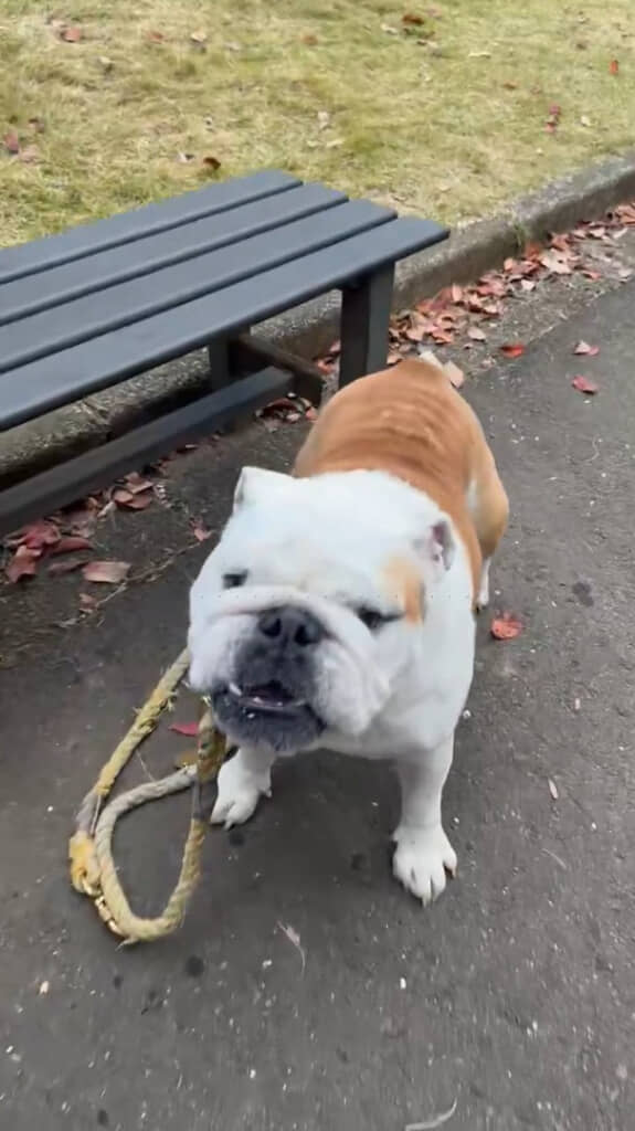 繰り返し見たくなるかわいさでした！