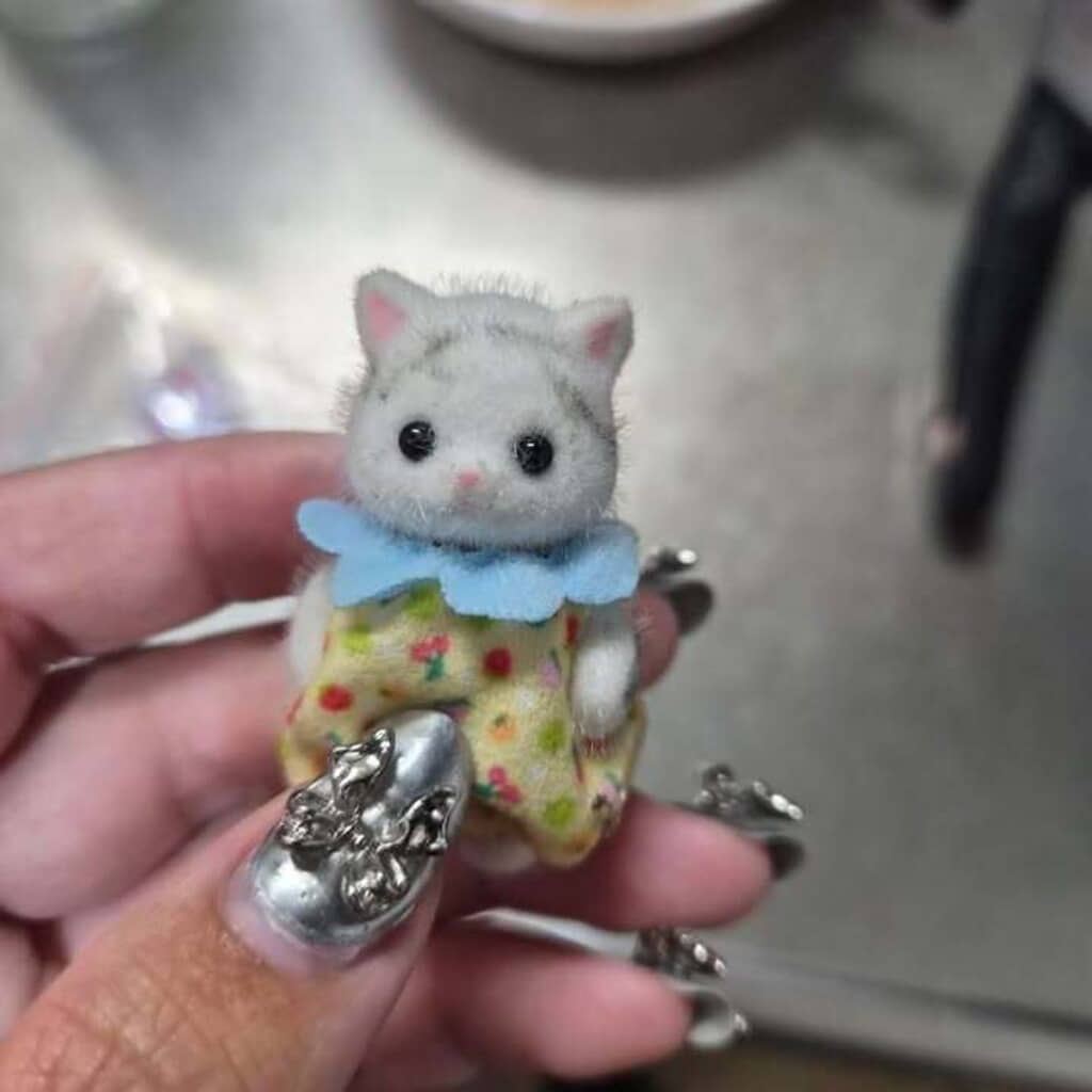 メルカリで購入したペルシャ猫の赤ちゃん「画像は投稿者（_2914_）さん提供」