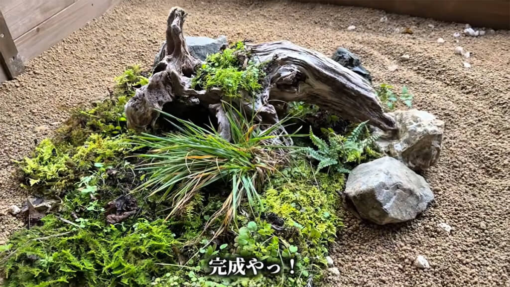 いい感じの森ができました