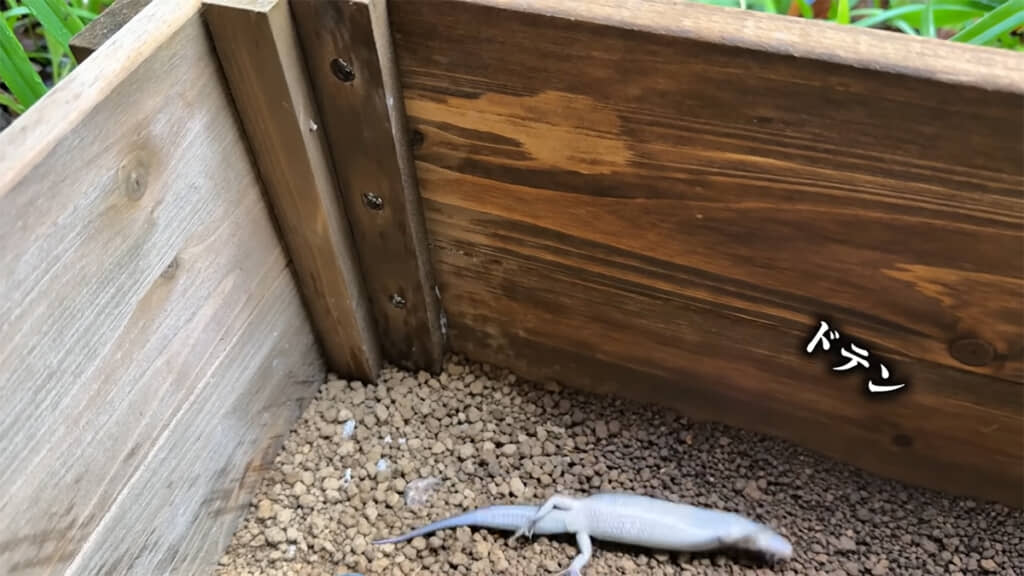 転んでしまいました