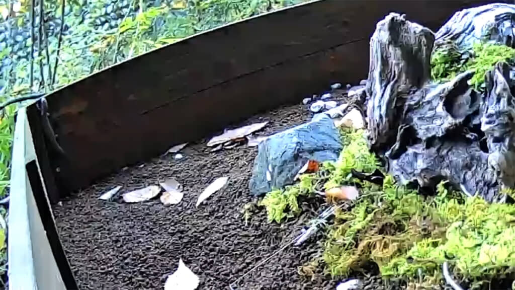 翌日。垂直の動きは苦手なはずが……