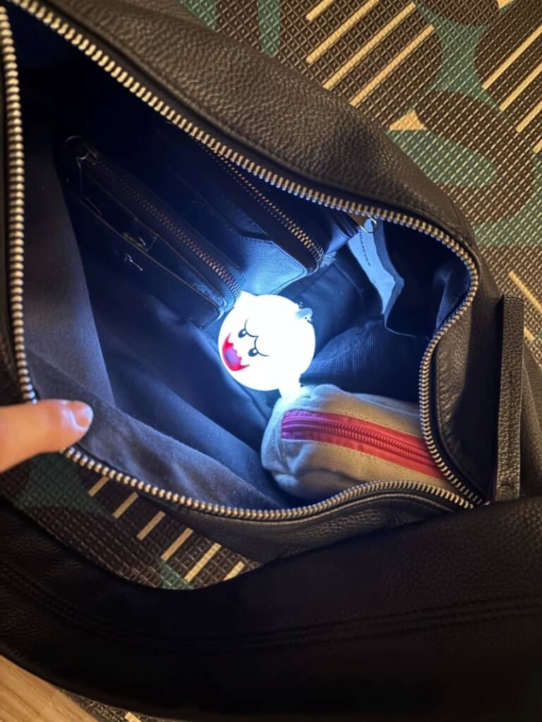 バッグの中で光るテレサ