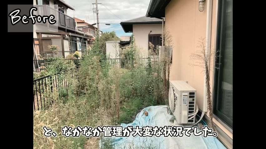 春になると人の身長まで伸びる草