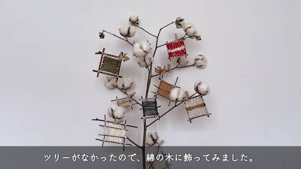 綿の木を飾ってみる