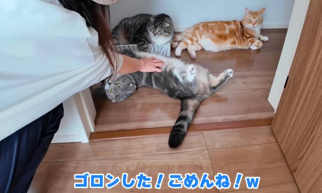 一旦、お部屋から退散してもらいます