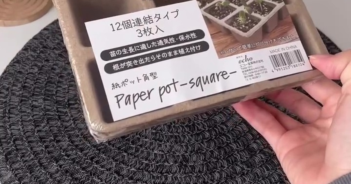 セリアの植物用紙ポットを2つつなげて紙で覆ったら……　クリスマスにぴったりなまさかの完成品に「天才？？？」「今年これにする！！」（1/3） | ハンドメイド ねとらぼ