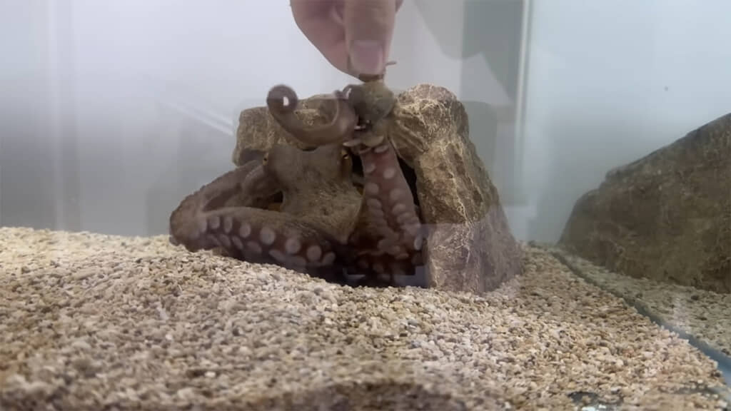 手渡しでカニを受け取ってくれました