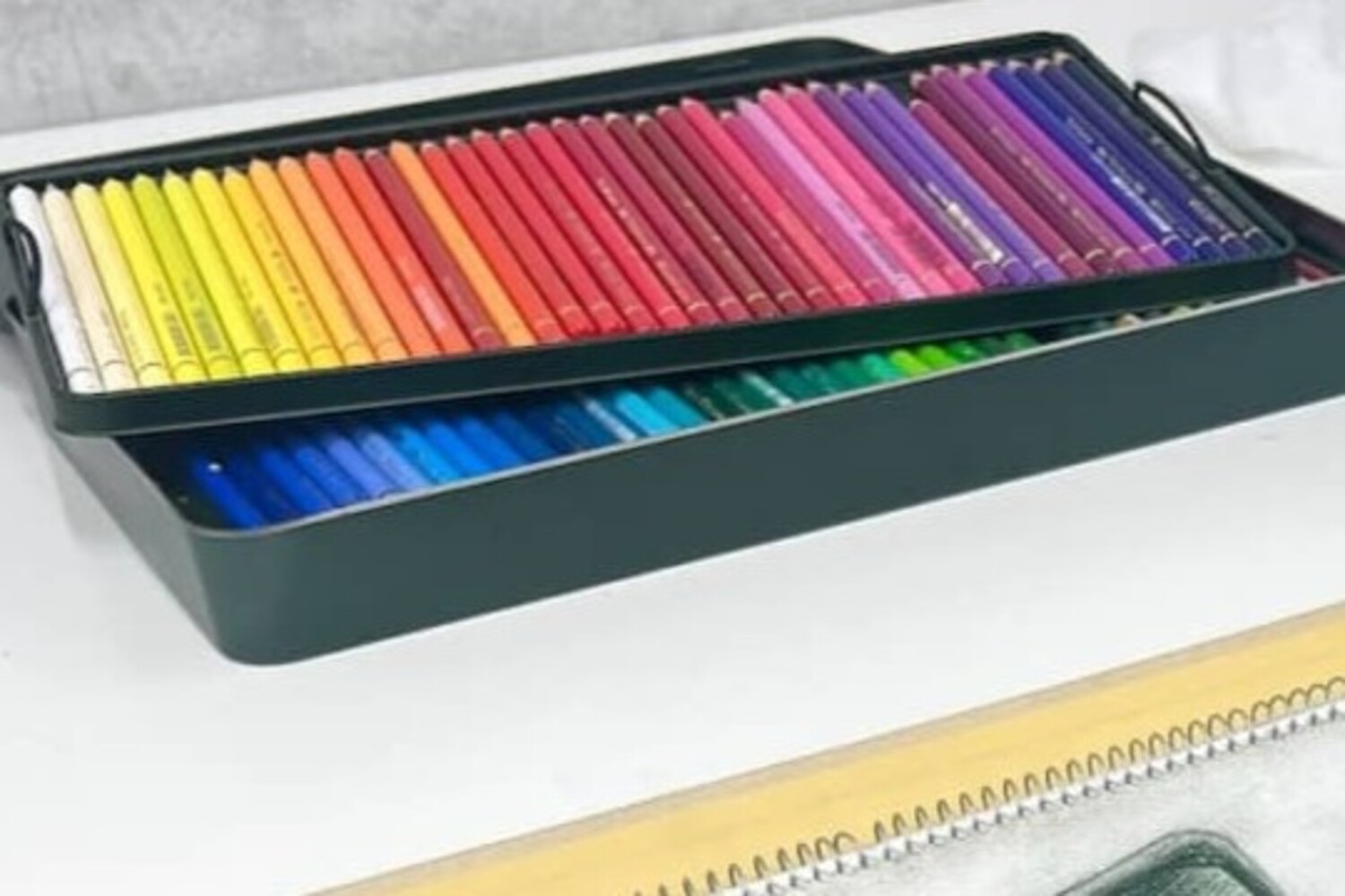 おじいちゃんに買ってもらった色鉛筆→小4男児「これを絵にしたい」と