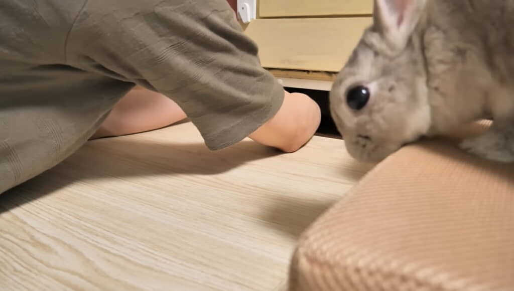 突っ張り棒を取ろうと苦戦する飼い主さん